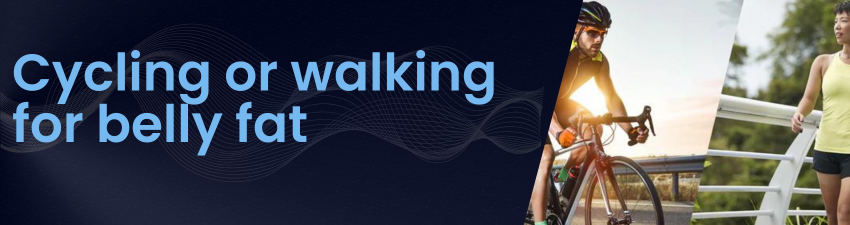 cycling or walking for belly fat