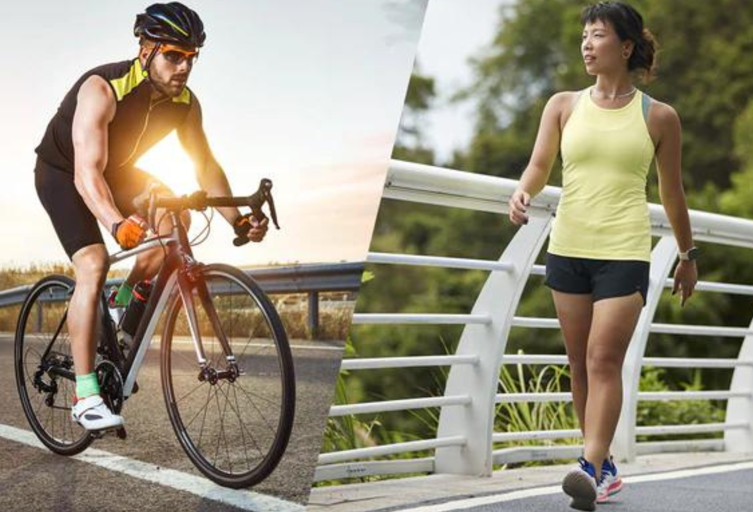 cycling or walking for belly fat