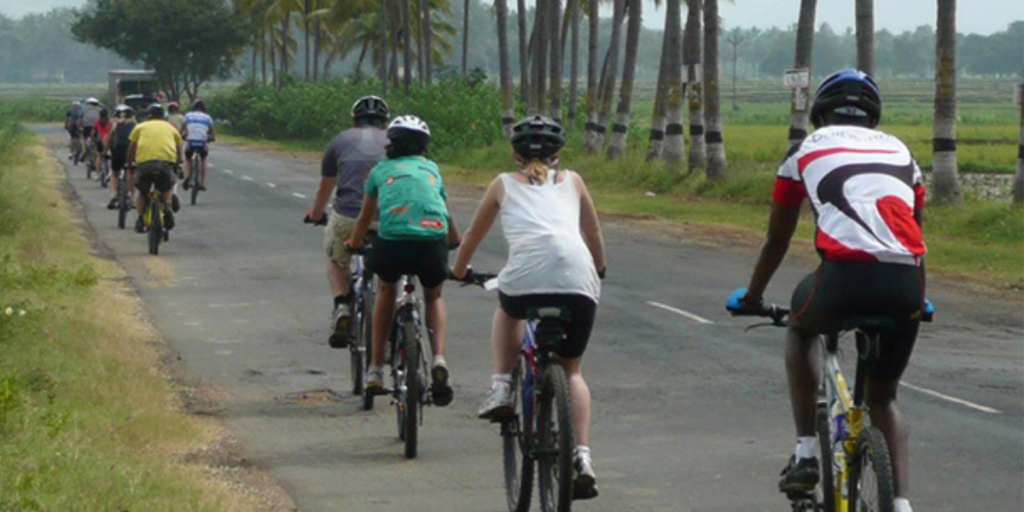 cycling or walking for belly fat