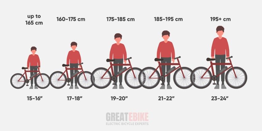 Bicycle for adults